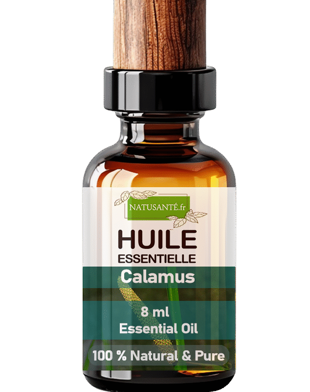 Huile essentielle Calamus ou Acore
