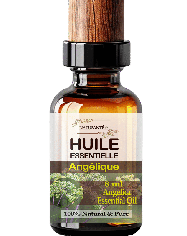 Huile essentielle Angélique