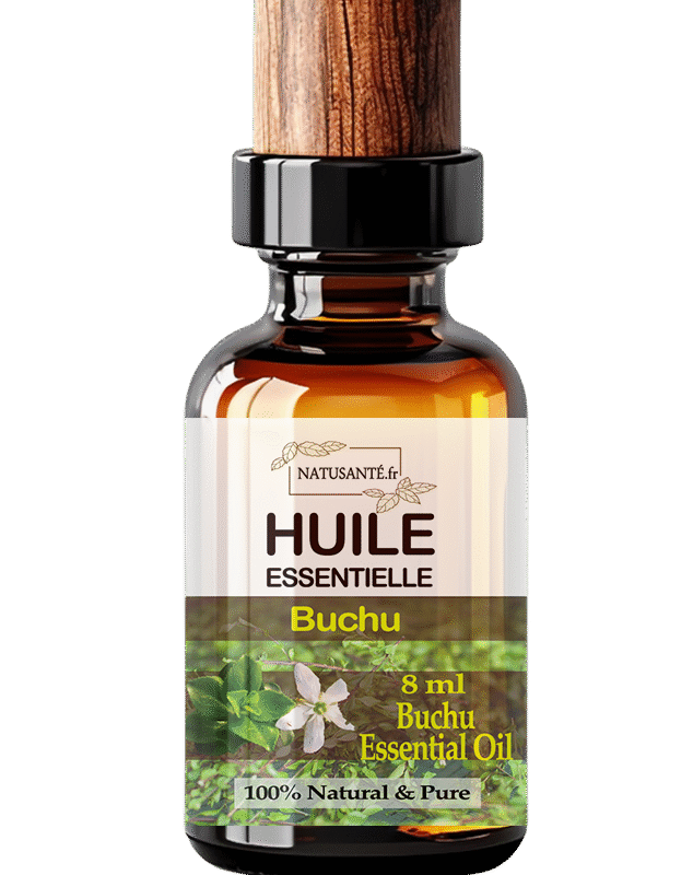 Huile essentielle Buchu