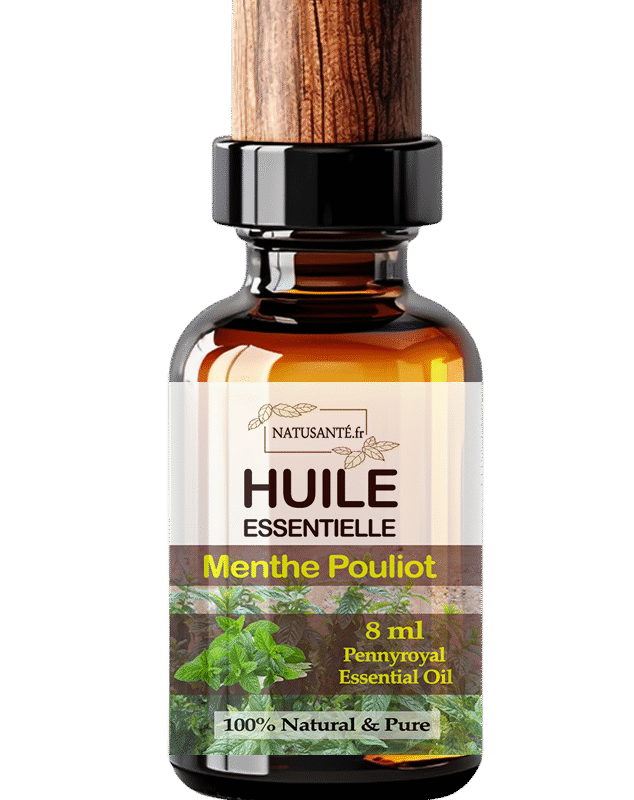 Huile essentielle Menthe Pouliot