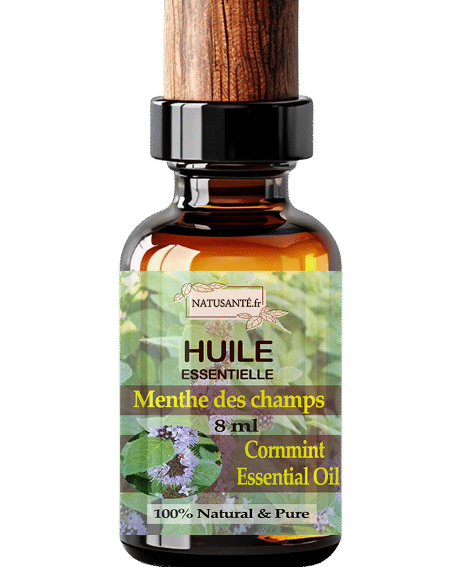 Huile essentielle Menthe des champs
