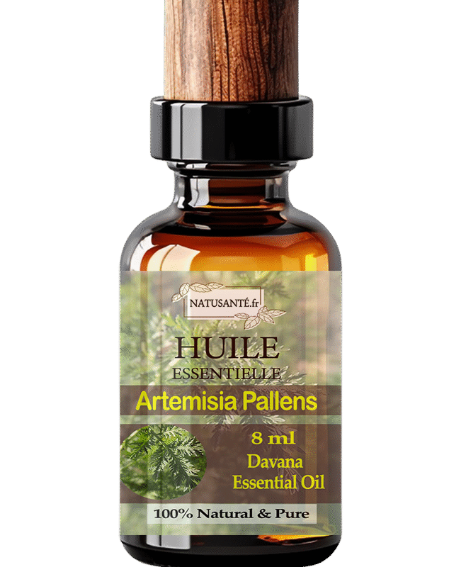 Huile essentielle Davana ou Artemisia Pallens