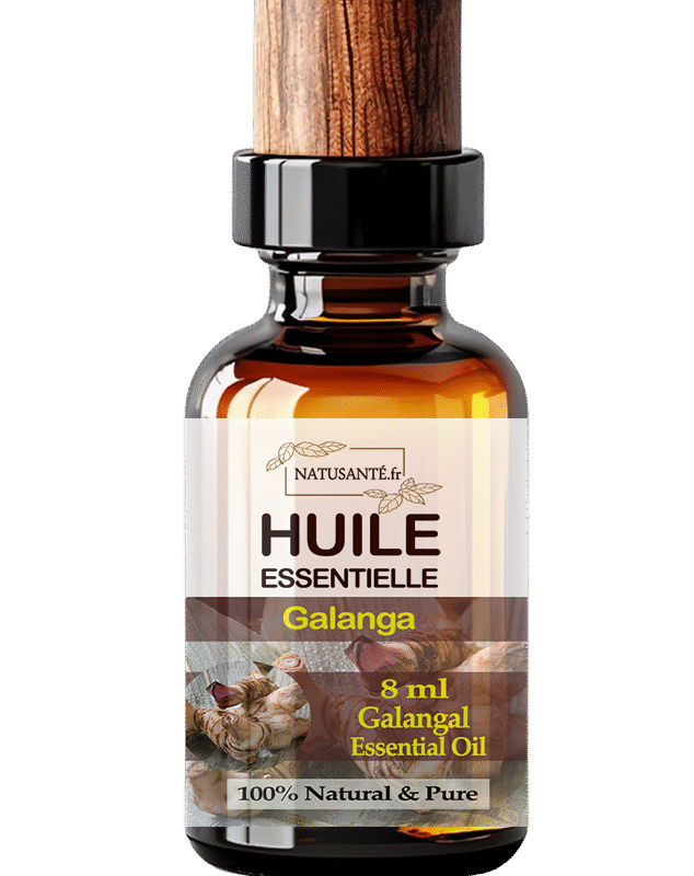 Huile essentielle Galanga