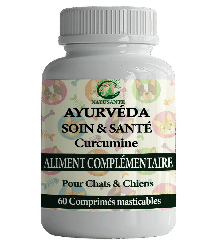 Ayurveda Sion & Sante
