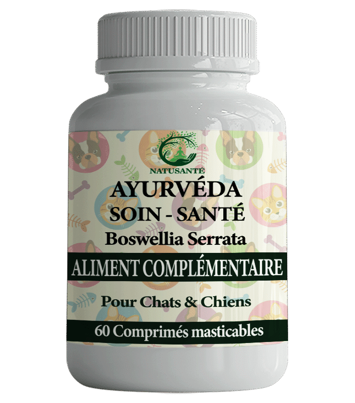 Ayurveda Sion & Sante Boswellia Serrata