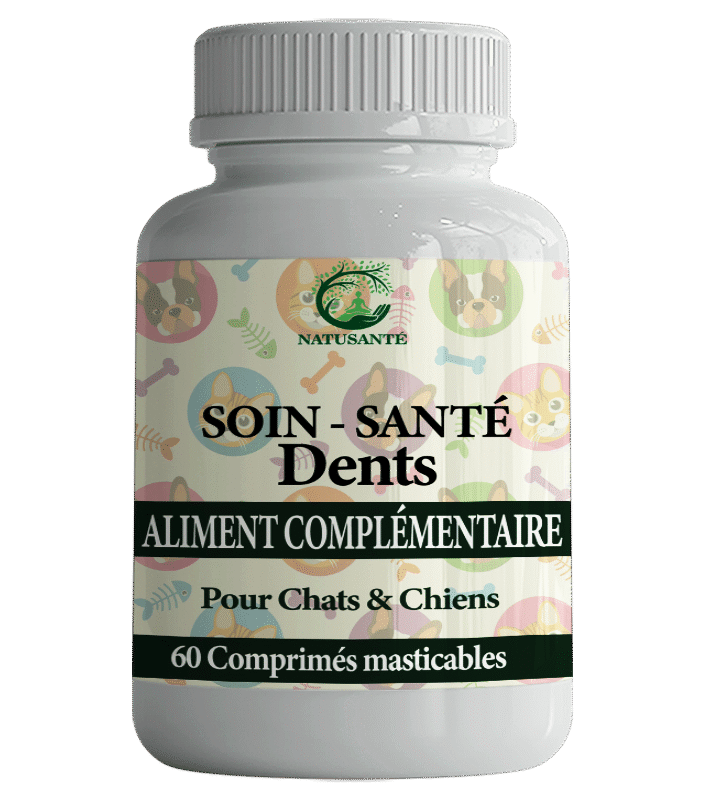 Sion & Sante Dents