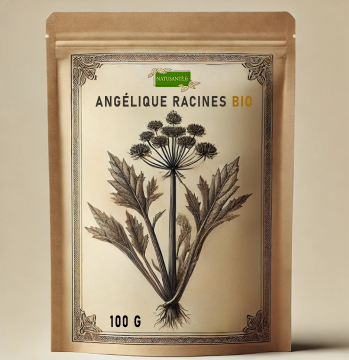 Angélique Racines Bio - 100 g