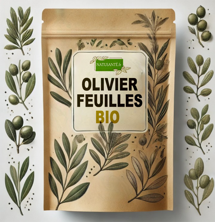 Olivier Feuilles Bio - 50 g
