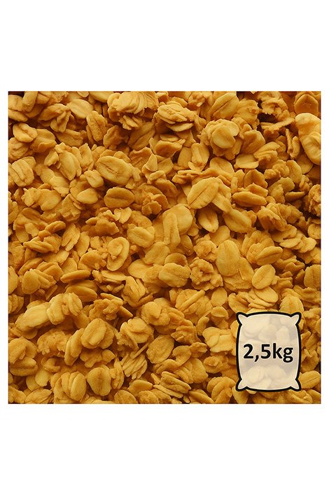 Granola Agave & Miel - bio